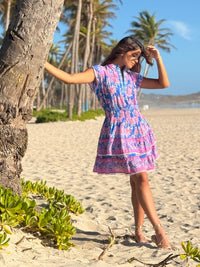Bindu Poppy Dress in Periwinkle