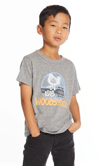 Chaser Kids Woodstock Bird on Guitar Tee in Streaky Grey - Estilo Boutique