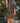 Cleobella Raquel Mini Dress in Dark Magnolia Floral Print
