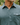 Criquet Performance Players Shirt in Cascades