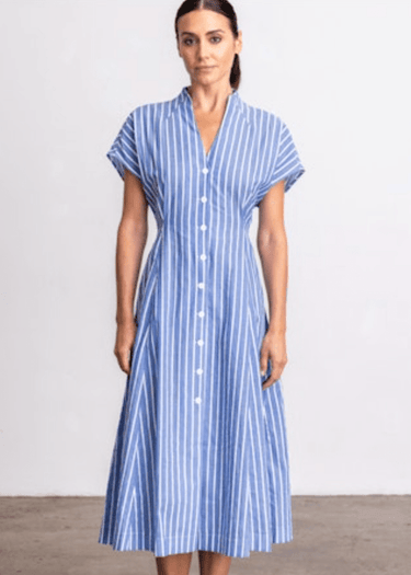 Go Silk Go For A Spin Dress in Borrow Boys Stripe