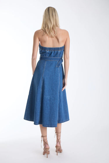 Karina Grimaldi Mica Denim Midi Dress in Denim