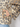 Berenice Trench Muriel Short Trench Coat in Leopard Print