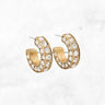 Elizabeth Cole Aira Earring in Crystal