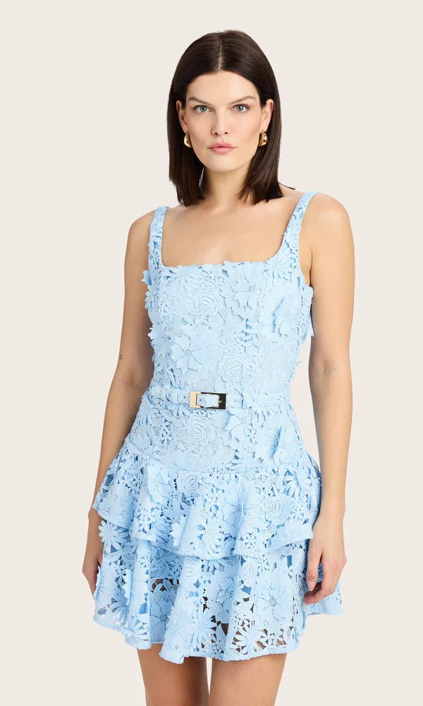 generation love lace dress Generation Love Glinda Velvet Lace Dress *FINAL SALE