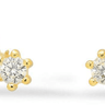 Jen Hansen Flash Studs in Gold - Estilo Boutique
