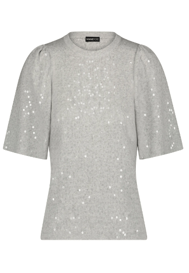 Minnie Rose Sequin Flared Short Sleeve Top in Grey - Estilo Boutique