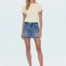 Pistola Daisy Low Slung Mini Skirt in Spectacle