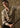 Vince Ballow Plaid Cotton Button-Front Shirt in Heather Oatmeal Combo