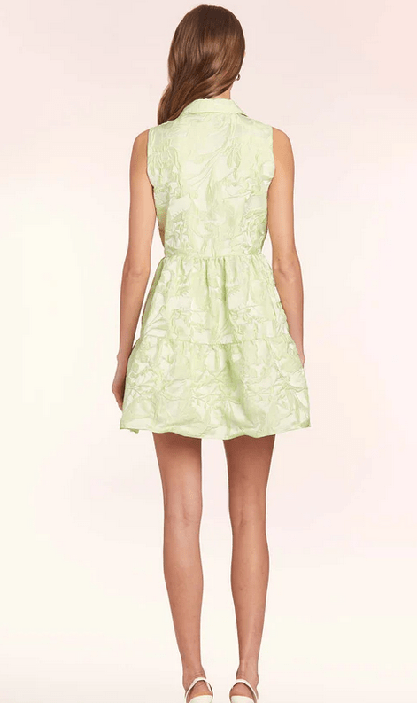 Amanda Uprichard Sleeveless Pierre Dress in Cucumber - Estilo Boutique