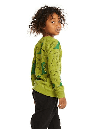 Chaser Kids Dino Sweater in Lima Bean - Estilo Boutique