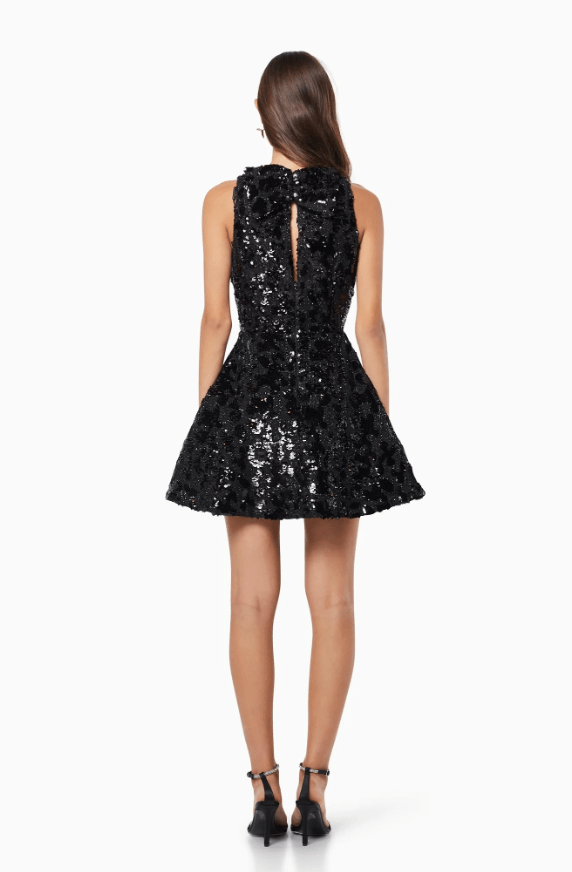 charlene mini dress Charlene Denim Mini Dress