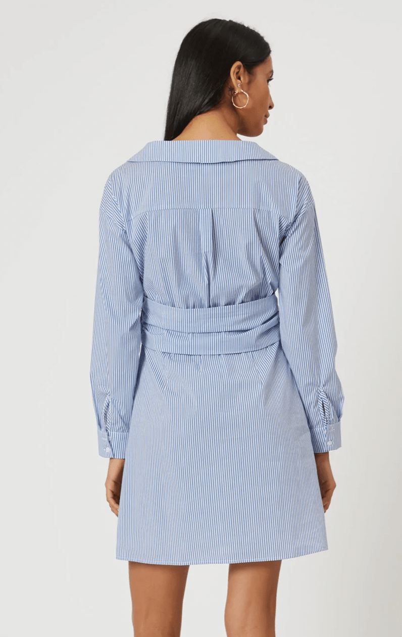 The Shirt The Hackney Dress in Blue Stripe - Estilo Boutique